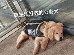 -窦四牛杂面(总店)