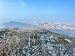-紫金山山顶公园
