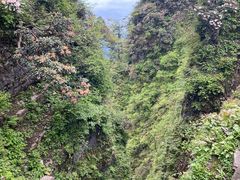 -峨眉山风景名胜区