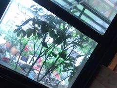 -湘邻呷铺·田园家宴(汉基广场店)