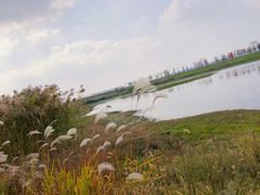 -南京枫彩漫城