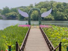 -尚湖风景区