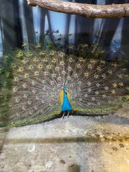 -酷嗒动物文化乐园(cutezoo西溪乐天城店)