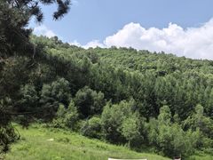 -官滩沟风景区