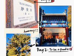 -香山公园