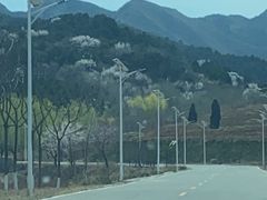 -密云玫瑰情园