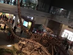 -自贡恐龙博物馆