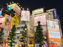 -秋叶原电器街