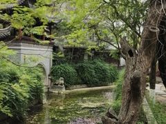-龙潭水乡