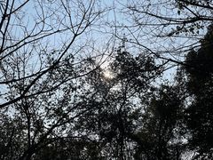 -灵隐飞来峰景区