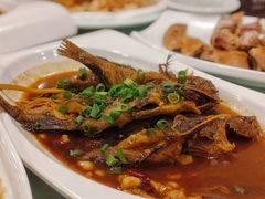 黄花鱼-福建美食城(老君堂店)