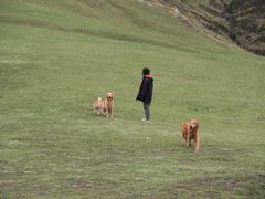 -新都桥贡嘎雪山观景台