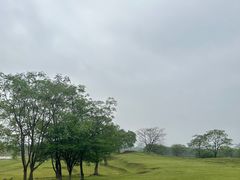 -盘龙城国家考古遗址公园