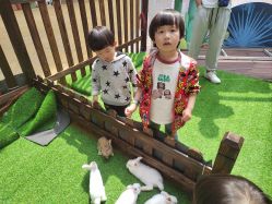 -酷嗒动物文化乐园(cutezoo西溪乐天城店)