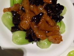 小油菜鹿筋-弘雅饭店