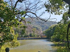 -阿育王寺