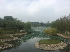 -东台西溪天仙缘景区