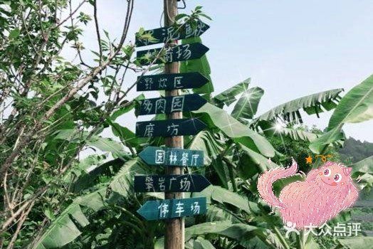 值得一去的溜娃好地方