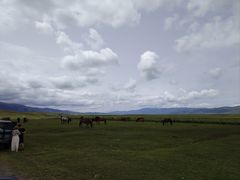 -新疆那拉提国家旅游度假区