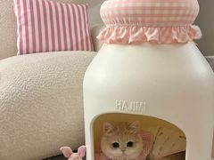 -守诺宠物医院·眼科· 特色牙科·异宠专科(虹口店)
