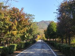 -三块石国家森林公园