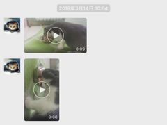 -纳吉亚猫专科动物医院博雅分院