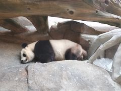 -宁波野生动物园
