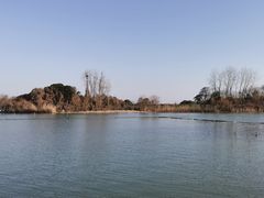 -渤公岛生态公园