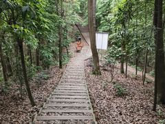 -南山植物园