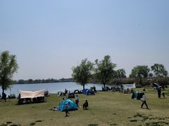 -漕湖湿地公园