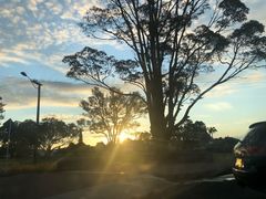 -馬車會海鮮酒樓