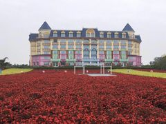 -百万葵园