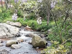 -梅岭月亮湾山体公园