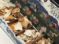 -芸山季·云南山珍菌火锅(南翔印象城MEGA店)