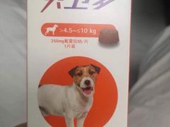 -亚宠动物医院·芭比堂宠物医院(盘龙店)
