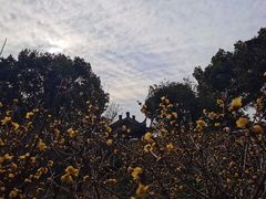 -无锡梅园公园