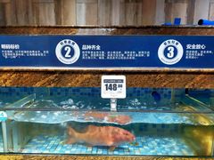 -鸿港海鲜批发市场