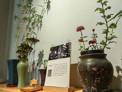 -十二舍·湯物素煮(江泰潤政店)