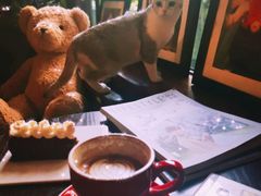 -咖法森林·咖啡  酒吧(天河店)