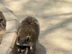 -石家庄市动物园