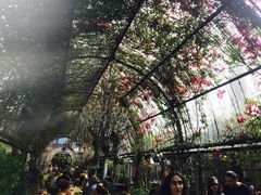 -The Grounds of Alexandria