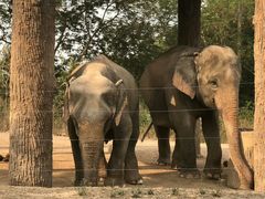 -清迈夜间动物园