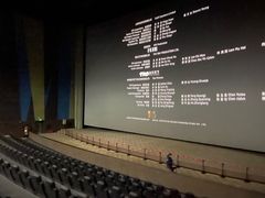 -天幕新彩云国际影城(激光巨幕店)