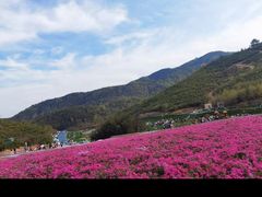 -冶父山国家森林公园