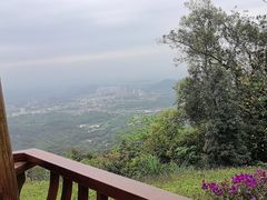 -黄埔油麻山森林公园