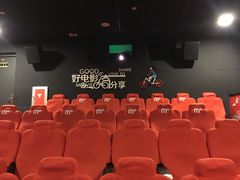 -汇金缪斯影城(八佰伴店)