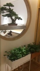 -松和日式美容整骨