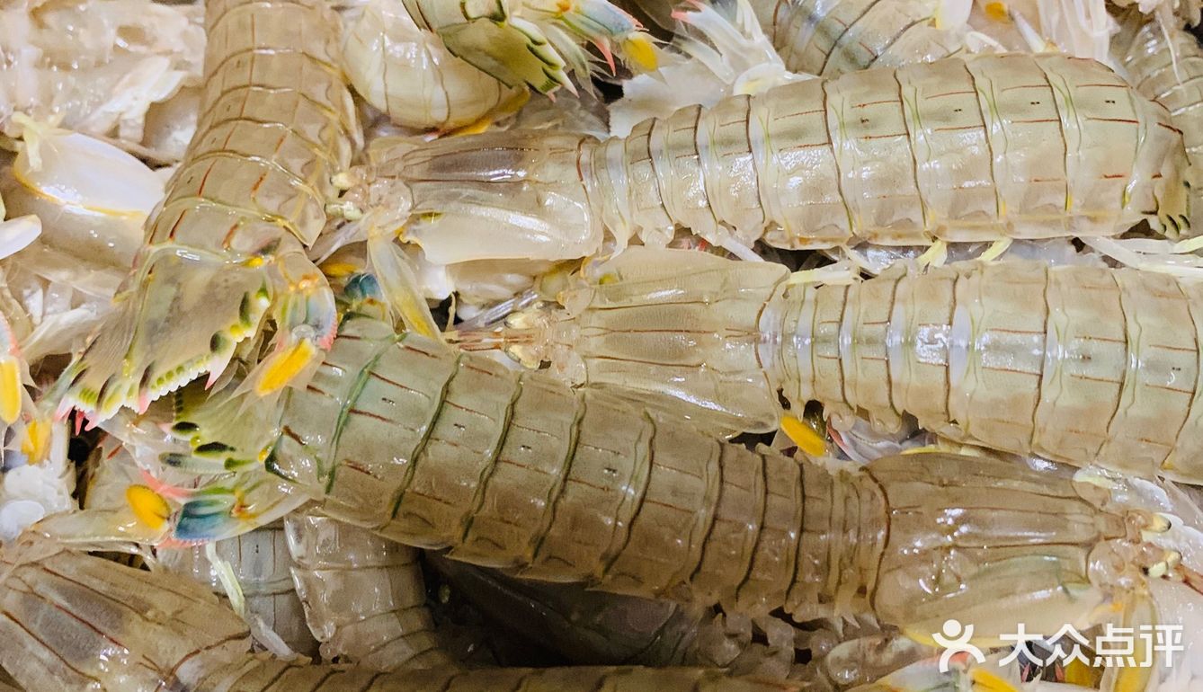 [调皮][调皮][调皮]皮皮虾，都到我胃里来吧！来嘛[憨笑][憨笑][憨笑]