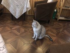 -隅cafe(傅厚岗店)