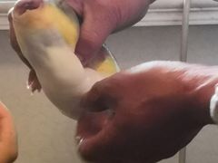 -长顺河豚馆(江洲东路)